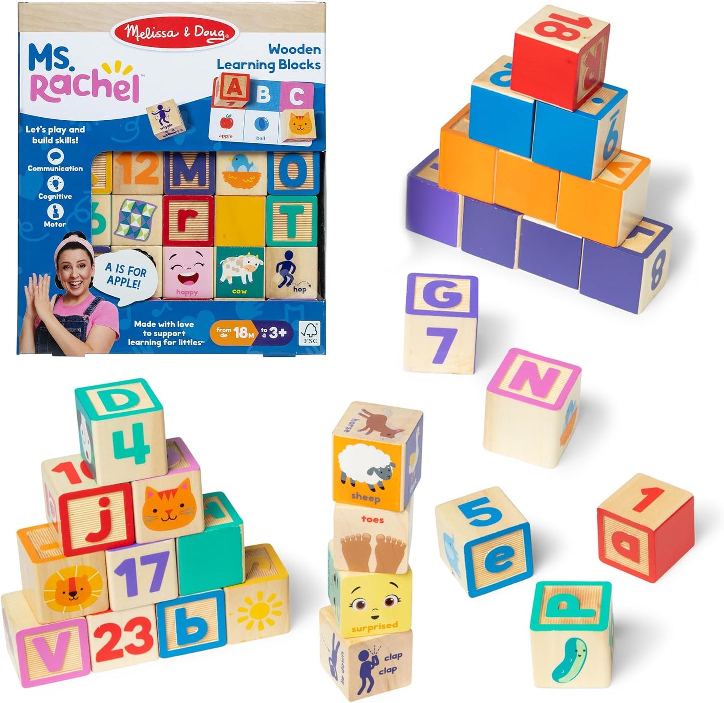Ms. Rachel Blocks & Cards