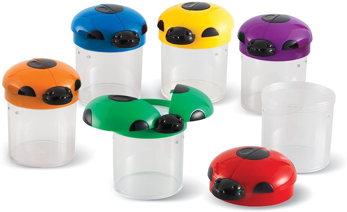 Big View Bug Jar