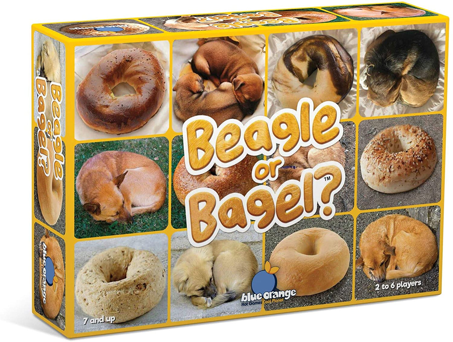 *beagle or Bagel