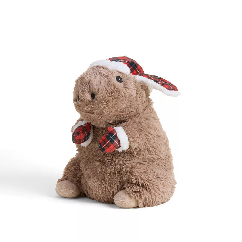 Cozy Capybara Warmie