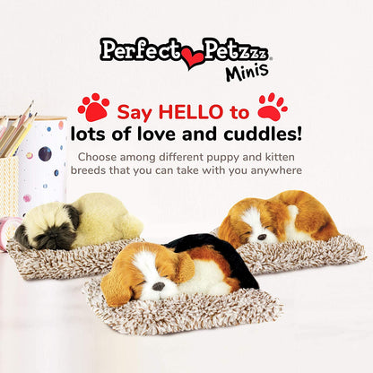 *mini Beagle