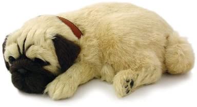 Perfect Petz Pug