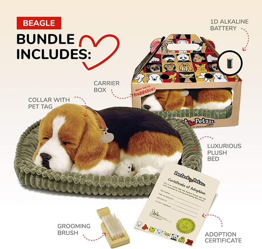 *beagle