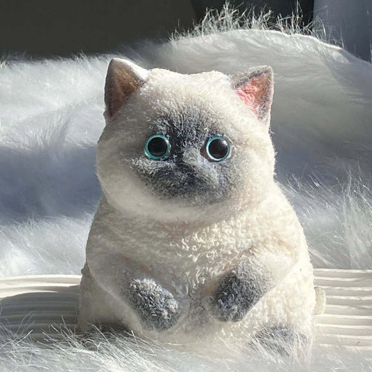 Kitty Squishy Medium