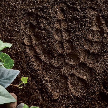 Paint Your Own Dinosaur Stepping Stone