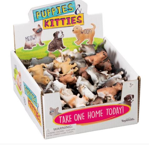 *puppies and Kitties