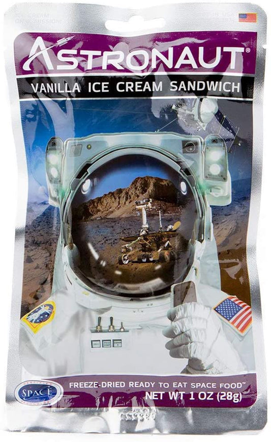 Astronaut Ice Cream Vinil