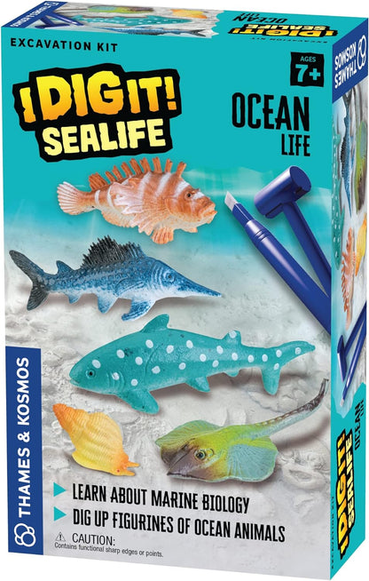 * Dig It! Sealife
