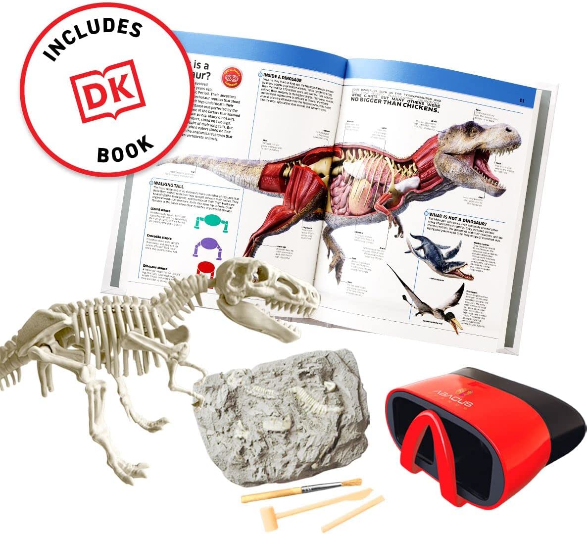 *virtual Reality Dinosaur