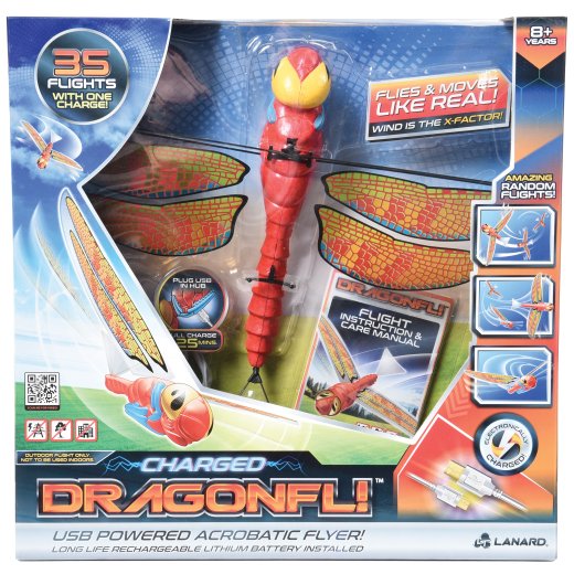 *dragonfl