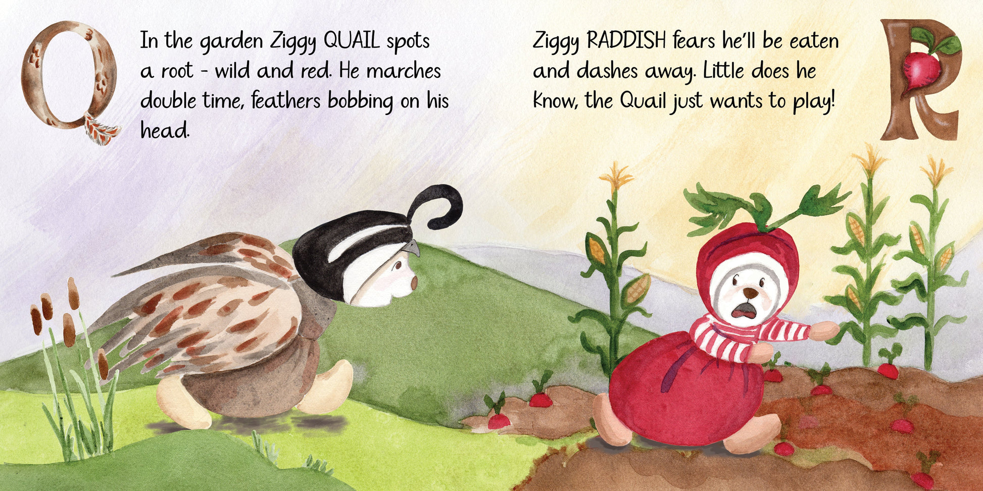 Z Is for Ziggy Book